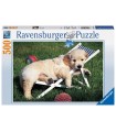 Puzzle Ravensburger 49x36 cm. 500 pz. Cuccioli a Riposo