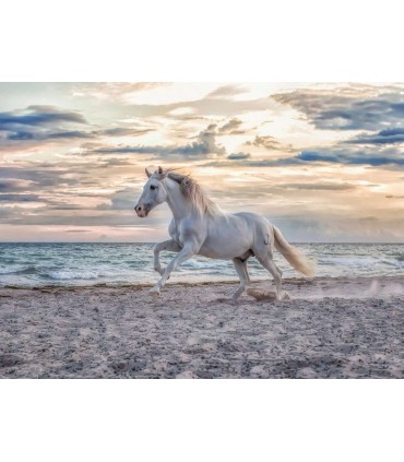 Puzzle Ravensburger 49x36 cm. 500 pz. Cavallo in Spiaggia
