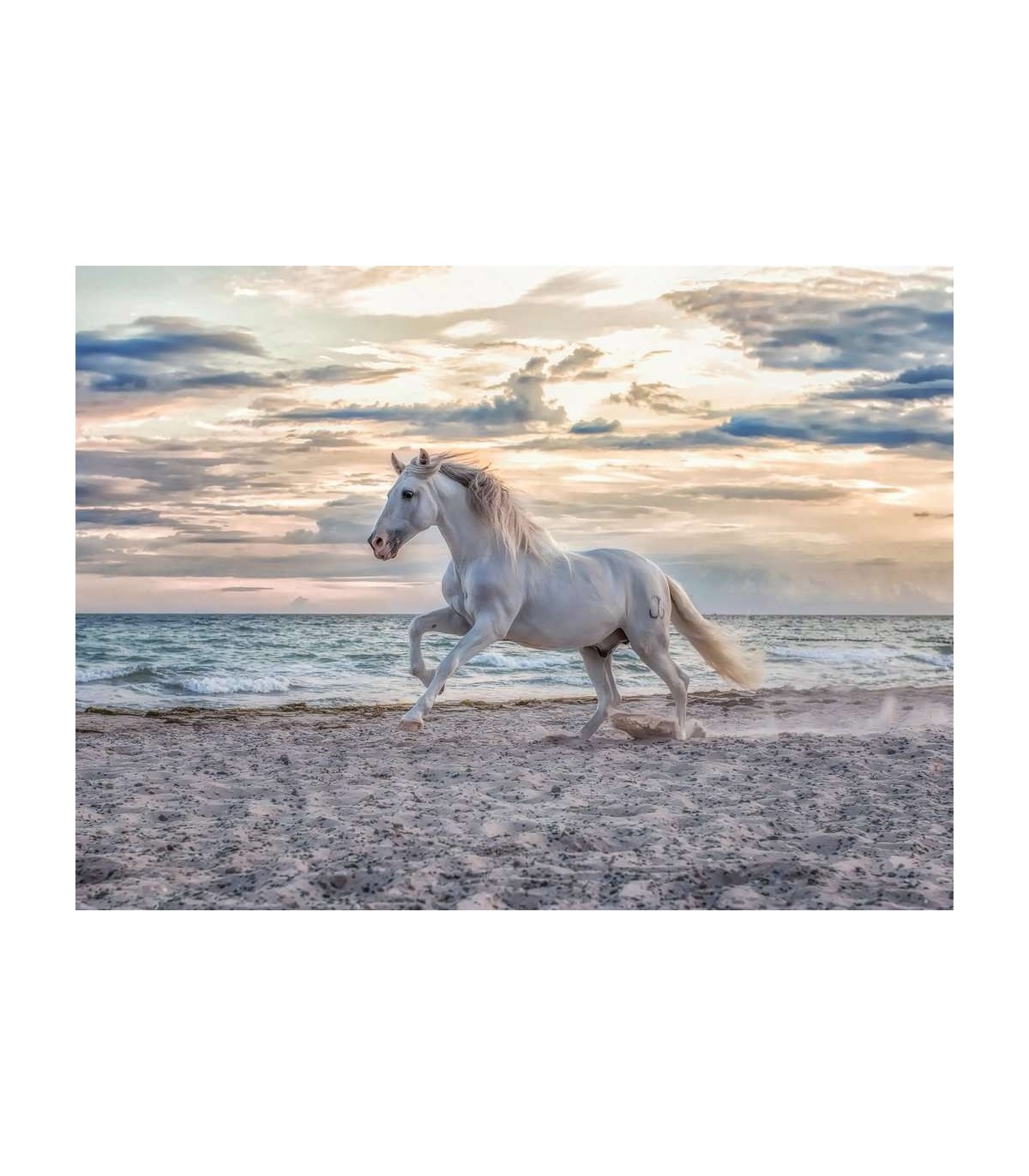 Puzzle Ravensburger 49x36 cm. 500 pz. Cavallo in Spiaggia