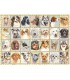 Puzzle Ravensburger 49x36 cm. 500 pz. Ritratti di Cani