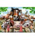 Puzzle Ravensburger 49x36 cm. 300 pz. Selfie in Fattoria