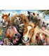 Puzzle Ravensburger 49x36 cm. 500 pz. Selfie in Fattoria