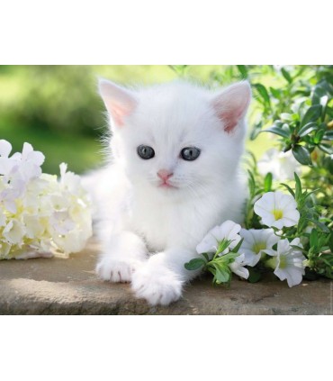 Puzzle Ravensburger 80x60 cm. 1500 pz. Vista delle Cinque Terre