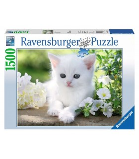 Puzzle Ravensburger 80x60 cm. 1500 pz. Vista delle Cinque Terre