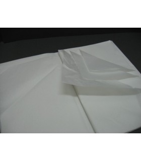 Carta per Modelli
