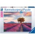 Puzzle Ravensburger 70x50 cm. 1000 pz. Campi di Lavanda
