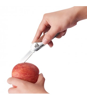 Coltello E CAVATAPPI Laguiole CHIUDIBILE con Manico MARRONE E FONDINA