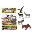 busta animali del parco naturale rigidi 10 pz.