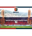 PUZZLE MISURA 30X42 GRAFICA CURVA F.C. GENOA DA 384 PZ.