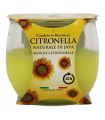 Candela alla Citronella DI JAVA 120G  IN BICCHIERE Durata 25 Ore per uso esterno conf. 6 pz.