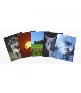 Busta Favorit Art a L in Polipropilene Finitura Liscia conf 10 pz. assortita con 5 soggetti