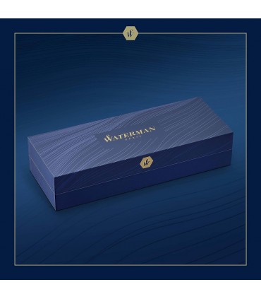 PENNA A SFERA WATERMAN MOD. DELUXE CHROME TRIM CON PENNINO MEDIO IN ORO 18K CONFEZIONATA IN ELEGANTE ASTUCCIO