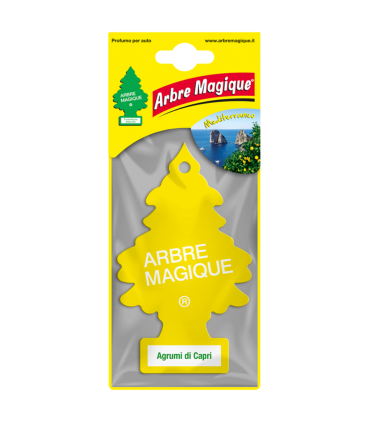 Arbre Magique Linea Classic - Fruit - Assortiti (CHE VERRANNO SCELTE IN BASE ALLA DISPONIBILITA' IN MAGAZZINO)