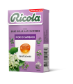 RICOLA FIORI DI SAMBUCO SENZA ZUCCHERO ASTUCCIO CONF. DA 20 PZ.