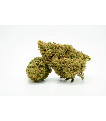 Infiorescenza di Cannabis Narnia Crew Sativa Amnesia haze CBD 20% bustina da 1 gr