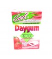 DAYGUM PROTEX  FRAGOLA GEL ASTUCCIO CONF. DA 20 PZ.