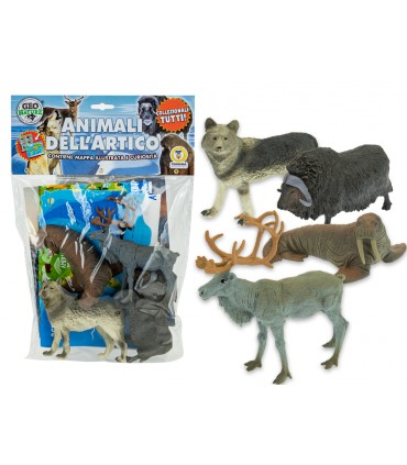 BUSTA ANIMALI DELL'ARTICO CON MAPPA ILLUSTRATA TEOREMA GIOCHI