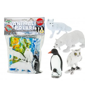BUSTA ANIMALI ANIMALI POLARI CON MAPPA ILLUSTRATA TEOREMA GIOCHI