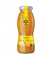 SUCCO DI FRUTTA RAUCH GUSTO ALBICOCCA  BOTTIGLIA IN VETRO DA 200ML CARTONE DA 12PZ. SCADENZA 07/08/2025