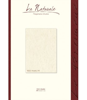 Carta Neutra Avorio A4 160 gr. conf. 12 fogli