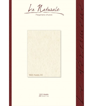Carta Neutra Avorio A4 160 gr. conf. 12 fogli