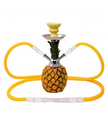 Narghilè ATOMIC Hookah ANANAS Vetro 2 Tubi H.30 cm CONFEZIONATO IN SCATOLA DA REGALO