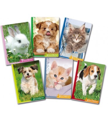 Quaderno Blasetti  Rig. Q copertine fantasia conf. 10 pz.