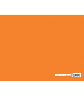 Carta Regalo Marpimar COLORI TENUI IN SCATOLA DA 50 Fogli COLORI ASSORTITI