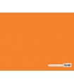 Carta Regalo Marpimar COLORI TENUI IN SCATOLA DA 50 Fogli COLORI ASSORTITI