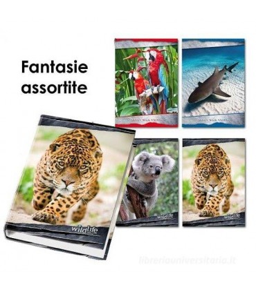 Raccoglitore Blasetti ad anelli diam. 30mm formato a4 copertine assortite