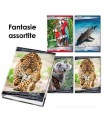 Raccoglitore Blasetti ad anelli diam. 30mm formato a4 copertine assortite
