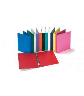 Raccoglitore Leitz