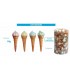 CONI GELATO MERINGA 10 GR. EXPO DA 60 PZ.